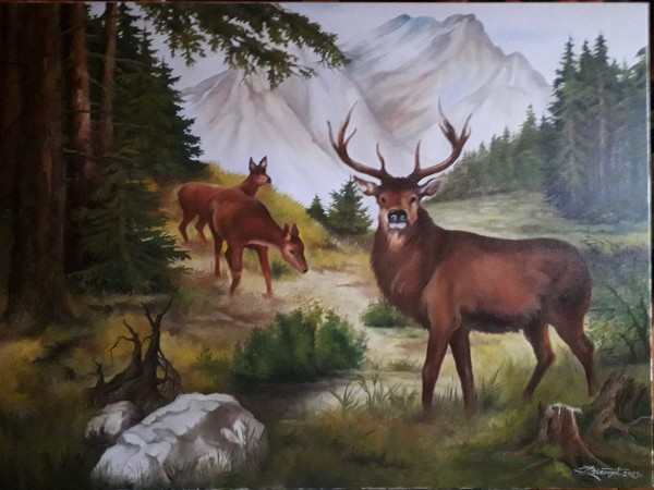 Olej na płótnie 60x80.jpg