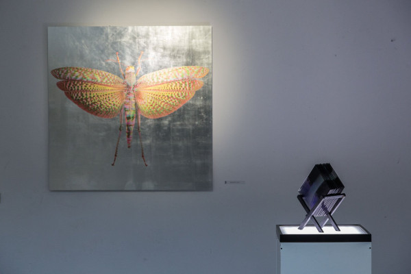 Całkiem Nowy Człowiek (1).jpg