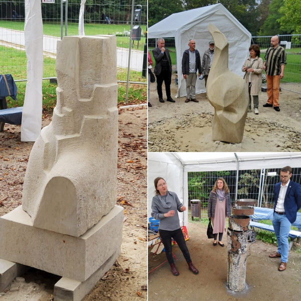 Teren  Teren (1).jpg