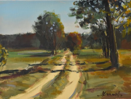 droga przez pola.jpg