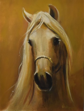 portret konia 08.jpg