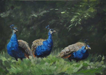 Bronisław Pilich - Przelewickie pawie -50x70 akryl na płótnie rok 2018.JPG