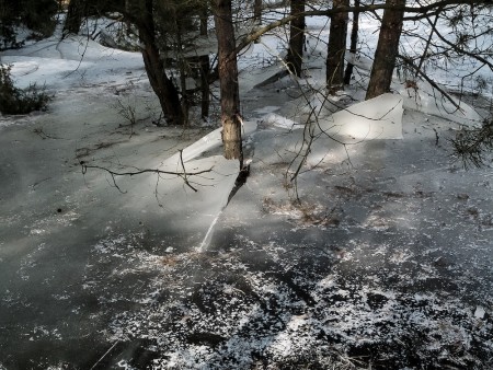 DANUTA KUBIAK.Lodowy las.jpg