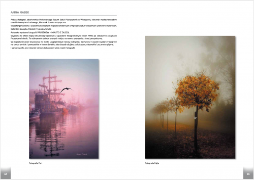 Zrzut ekranu 2020-10-10 o 10.34.59.png