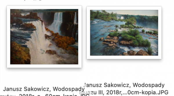 Zrzut ekranu 2021-06-26 o 22.44.13.png