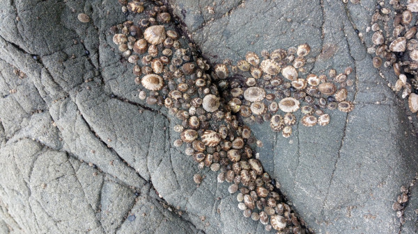 20150806_111432 kopia.jpg