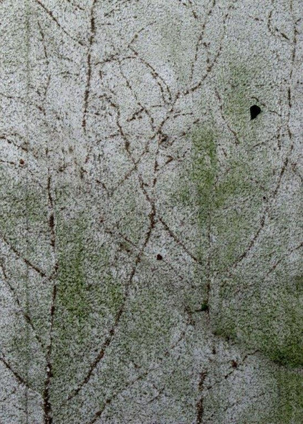 kopia (1).jpg (165.01 KiB) Przejrzano 1419 razy kopia (1).jpg