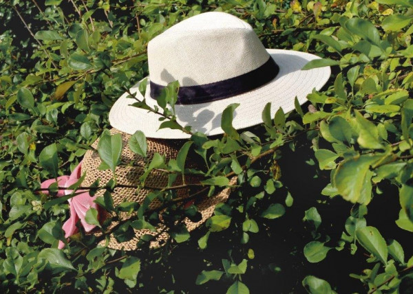 kopia (3).jpg (186.5 KiB) Przejrzano 1419 razy kopia (3).jpg