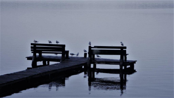 kopia (6).jpg (56.2 KiB) Przejrzano 1419 razy kopia (6).jpg