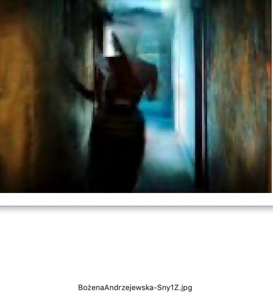 Zrzut ekranu 2022-10-29 o 12.53.12.png