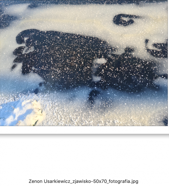 Zrzut ekranu 2022-10-29 o 13.45.25.png